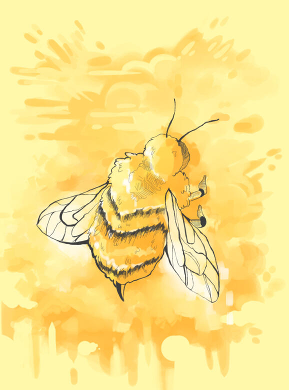 Bee Bee